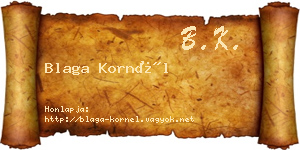Blaga Kornél névjegykártya